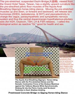 bridge and horse-riding-stance comparison 3 - small