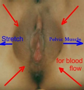 Psy-engorment bloodflow